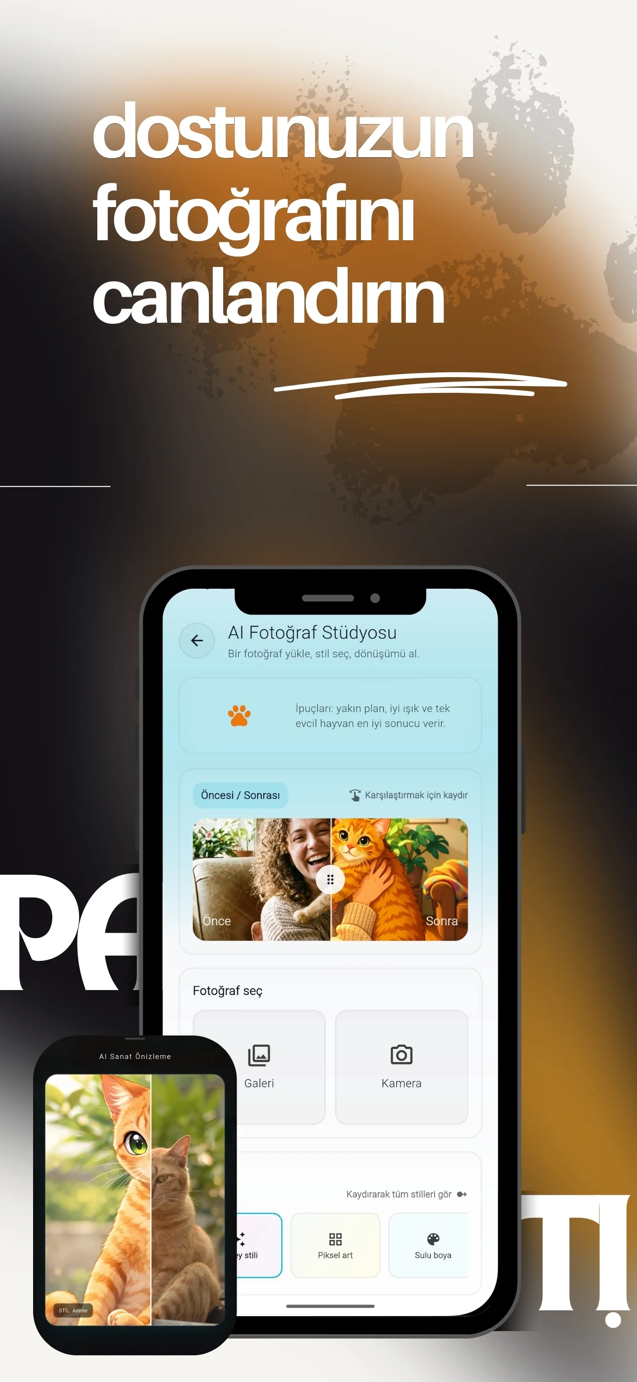 Evcil Kartları Ve Klinikler