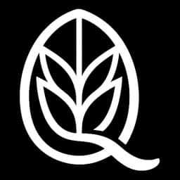 Логотип продукту Qernel